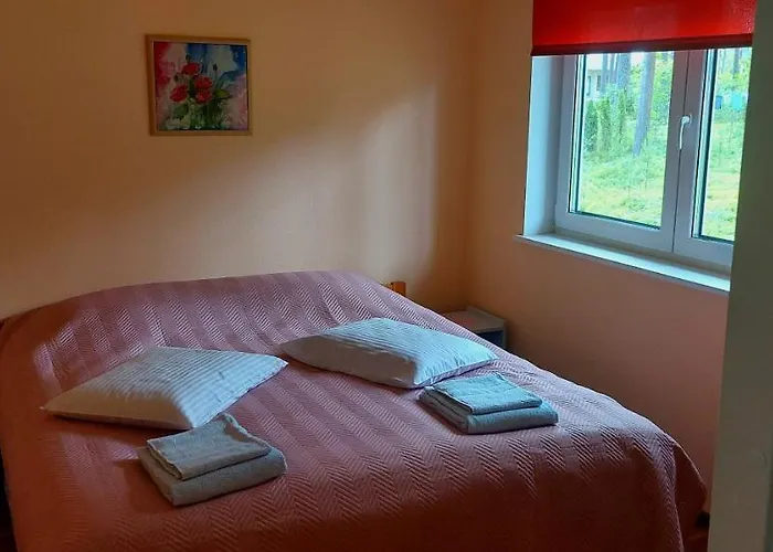 Norges Puhkemaja * Papsaare